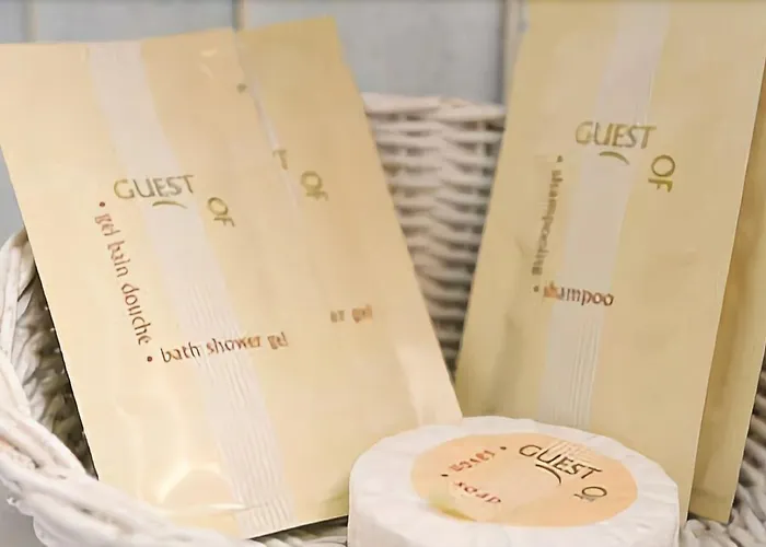 Отель Flor Rivoli